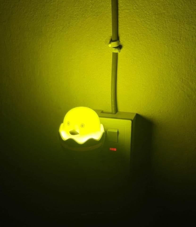 Duck Egg Shape LED Night Light Dream Light